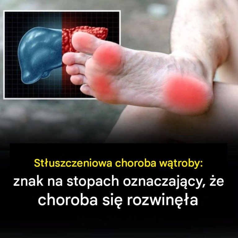 5a6e355f-bae8-4cf5-b13d-7713966dd948
