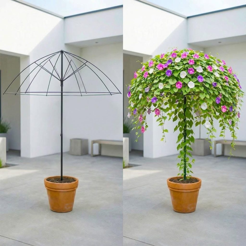 724235788_122197480358866865_8174054001524184788_n-65 724235788_122197480358866865_8174054001524184788_n-65