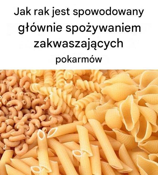 734656283_1797808158246578_5357885728338414788_n