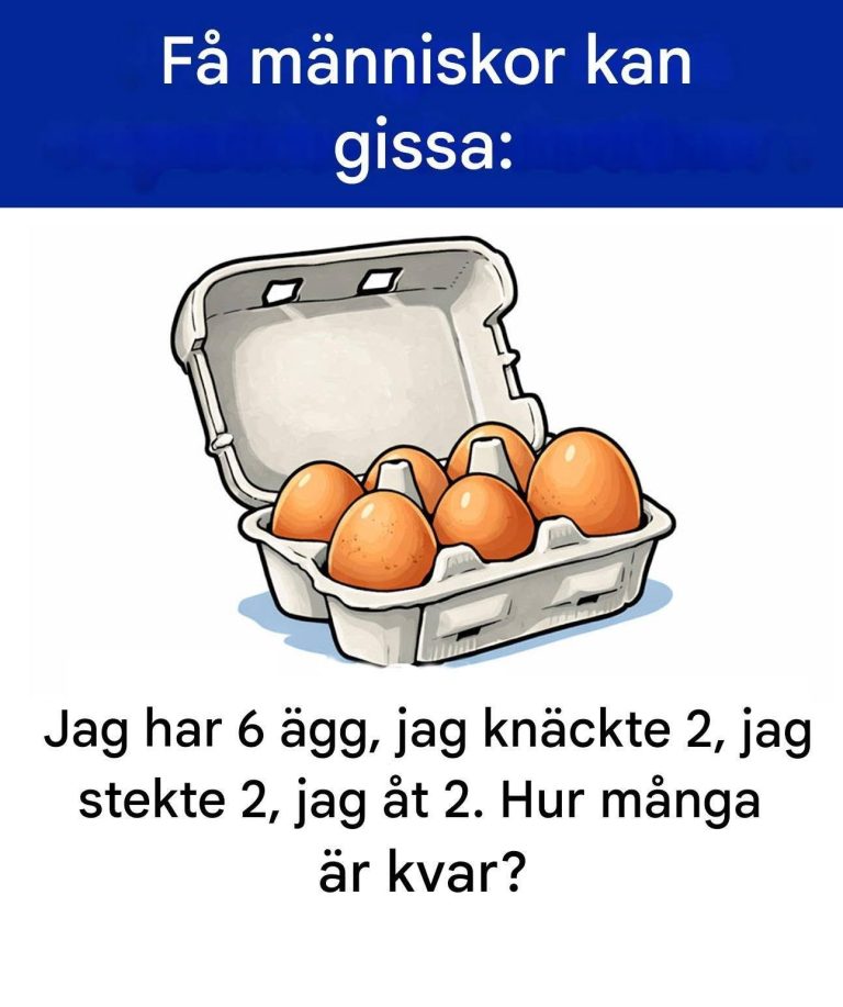 736153924_1389164336446926_1766170228225582854_n