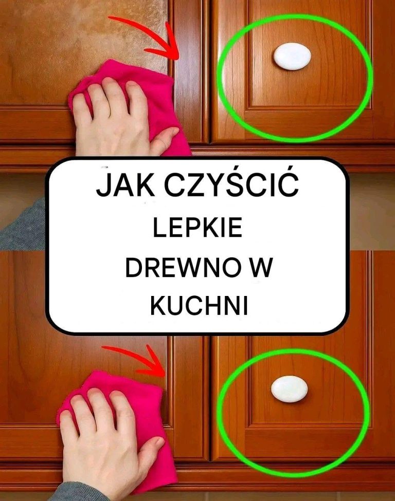 742480387_2231312710961231_3139721747512938793_n