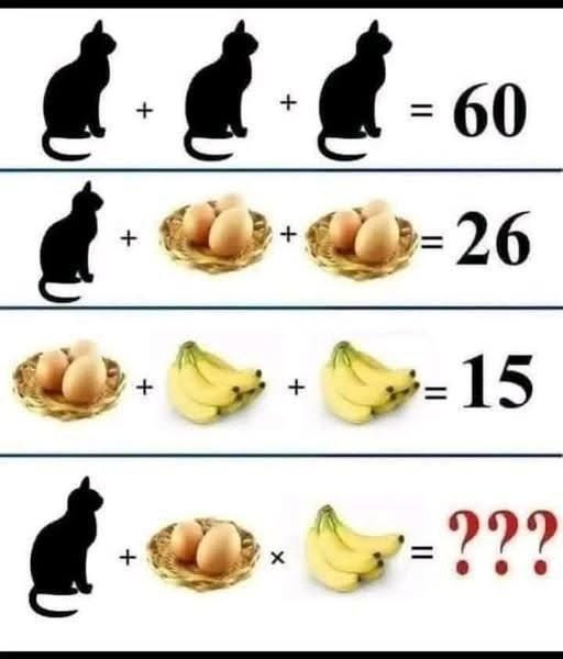 748385483_122184525764621984_2864449798450201527_n 748385483_122184525764621984_2864449798450201527_n