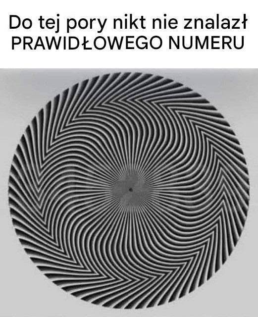 749300661_122313322046234368_5083968907698043821_n