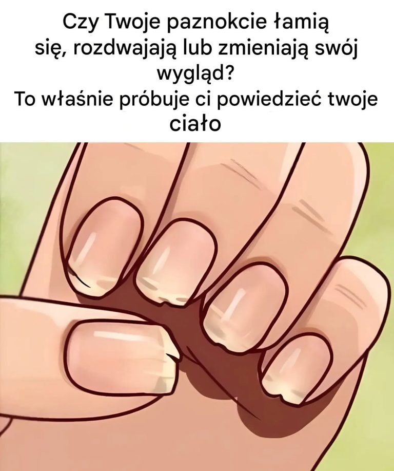750290264_122124164091356549_5116420651763344377_n