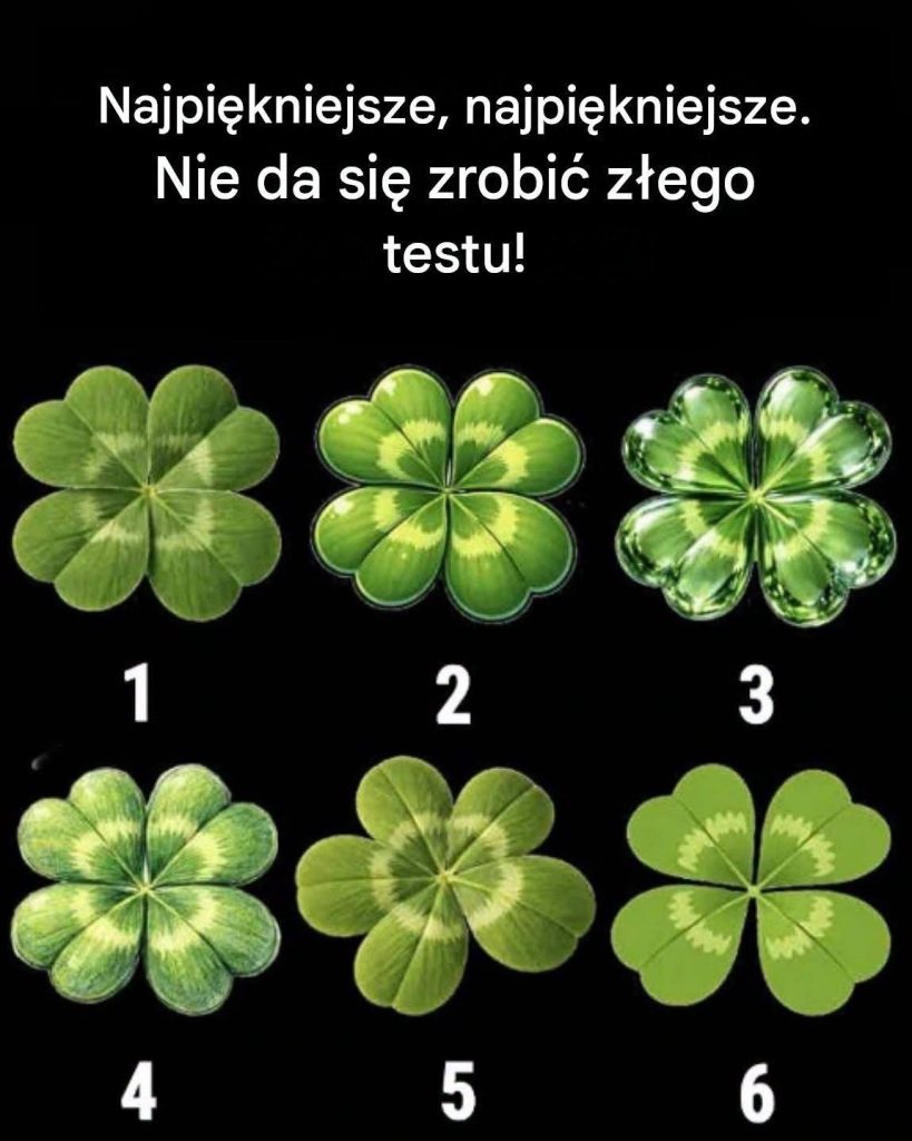 752838647_1573990037651753_1511504065741682929_n 752838647_1573990037651753_1511504065741682929_n