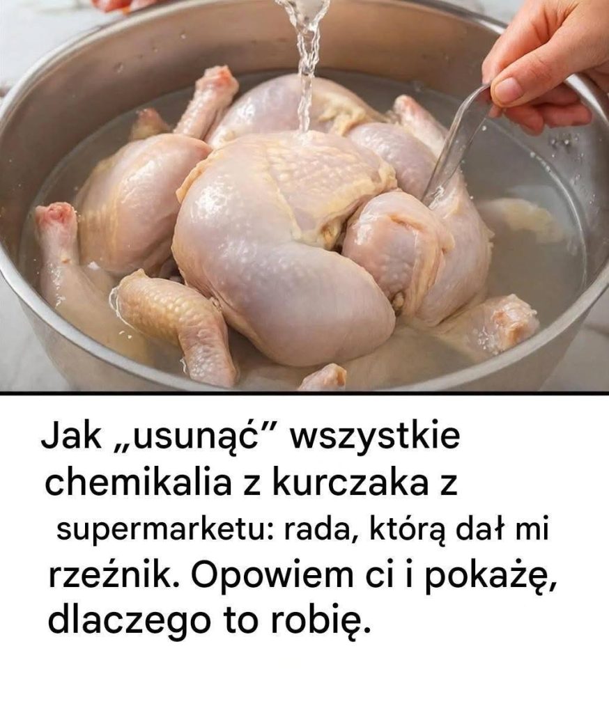 753241507_122108722953293860_2573251266655841547_n 753241507_122108722953293860_2573251266655841547_n