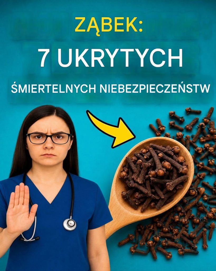 753550940_122123879690810188_1764480971380269888_n-1 753550940_122123879690810188_1764480971380269888_n-1