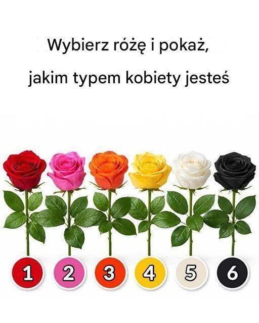 758244966_122109133749397269_8932304629882798516_n 758244966_122109133749397269_8932304629882798516_n