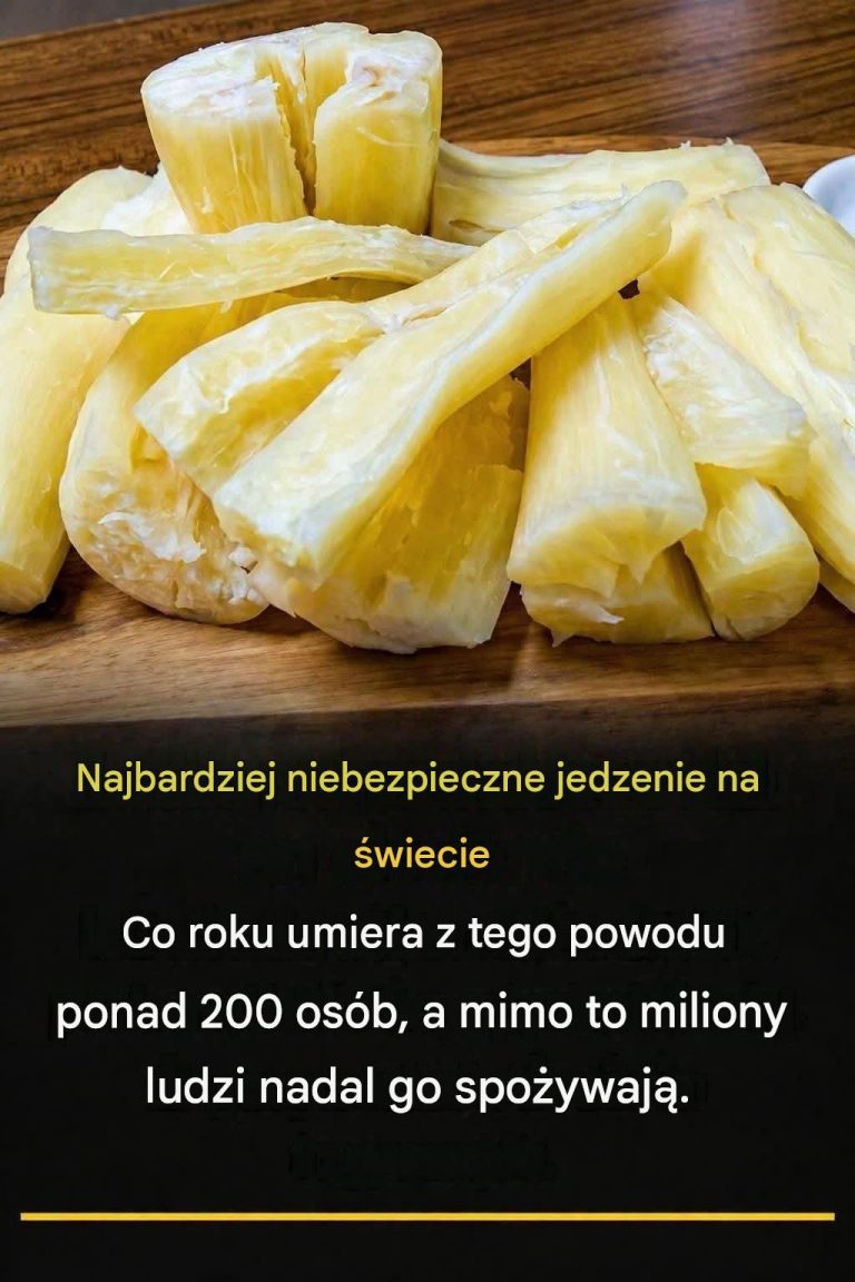 7de08237-9c1a-4ba3-a24b-c77a606cadf2